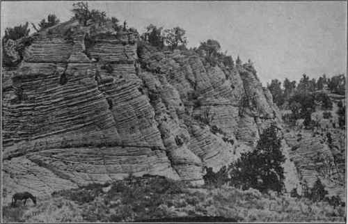 Cross bedded sandstones, Arizona. (U. S. G. S).