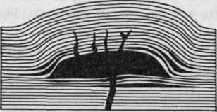 Diagrammatic vertical section of a laccolith (Gilbert). The full black indicates igneous rock.