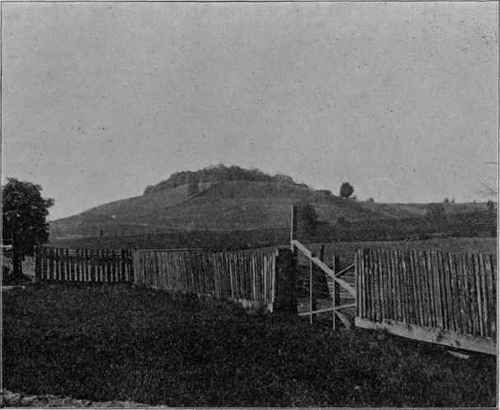 Drumlin near Newark, N.Y. (U. S. G. S).