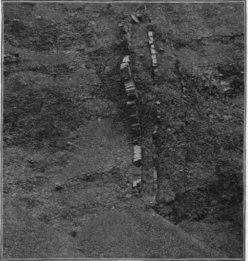 Dykes of sandstone in shales, Northern California. (U. S. G. S).