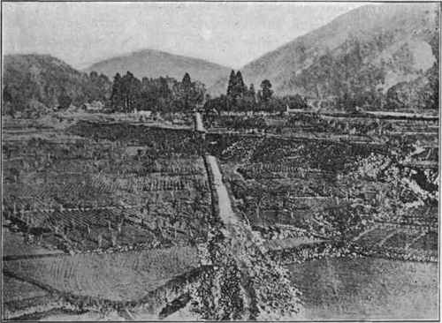 Fault scarp in the Neo Valley, Japan, earthquake of 1891.
