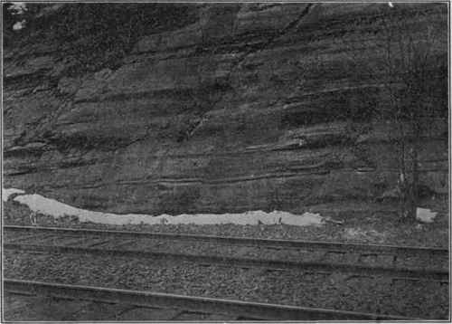 Glacial grooves on sandstone cliff; Delaware Water Gap, Pa.