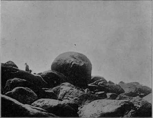 Glacial moraine, Montauk Point, L.I. (Photograph by B. N. Mitchill).