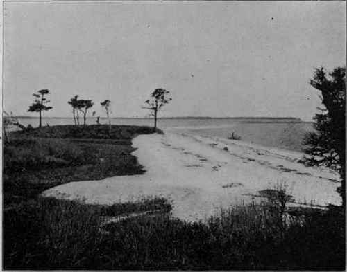 Gravel beach, Long Island, N.Y. (U. S. G. S).