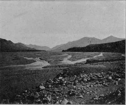 Gravel flood plain of glacial stream, Alaska. (U. S. G. S).