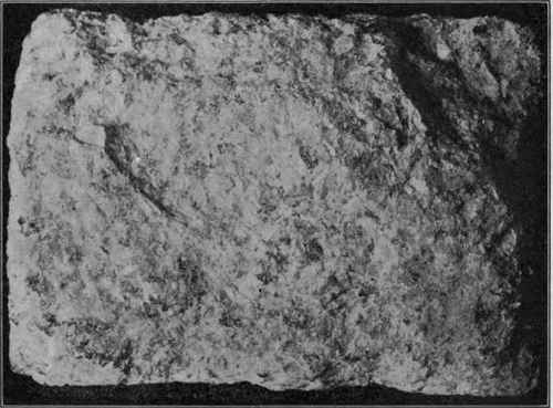 Hand specimen of granite, natural size.