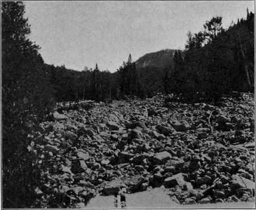 Manti Creek, Utah; flood of August, 1901.