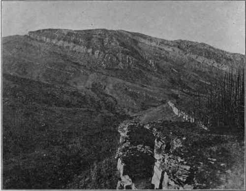 Overturned sharp fold; Big Horn Mountains, Wyoming.