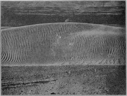Sand dune with wind ripples, River Terraces in distance; Biggs, Oregon, (U. S. G. S).