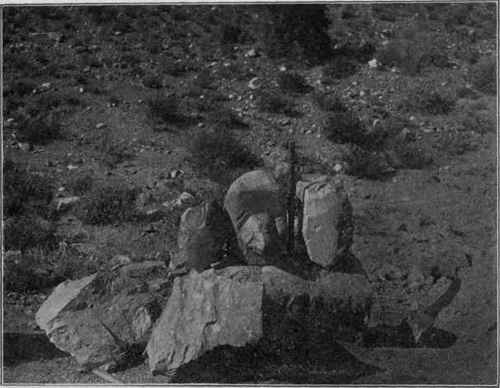 Striated glacial boulders from Permian of South Africa.
