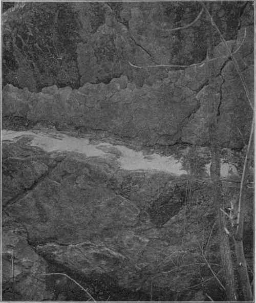 Sun cracks in limestone, Rondout, N.Y. (Photograph by van Ingen).