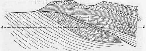 Surface thrust, Holly Creek, Georgia. (Hayes).