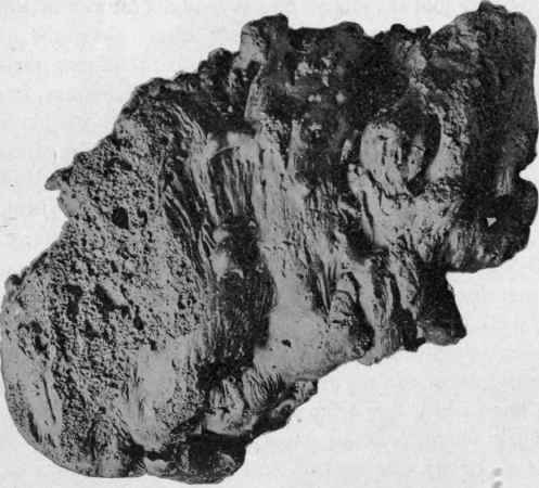 Volcanic bomb, showing scoriaceous texture; about 2/3 natural size.