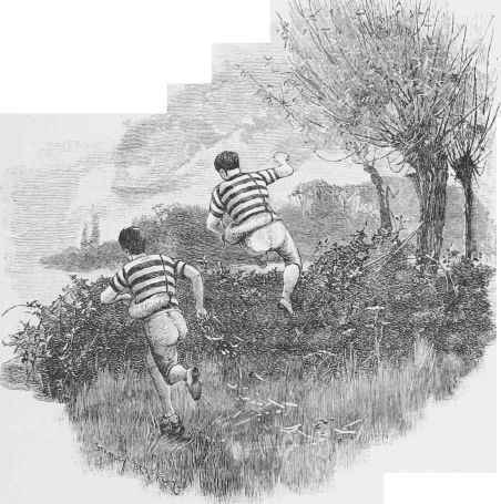 The hares.
