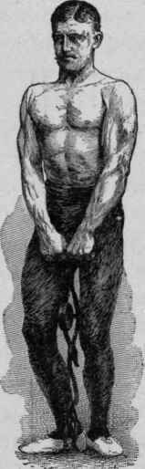Fig. 2.   Method of Testing the Strength of Back and Legs.
