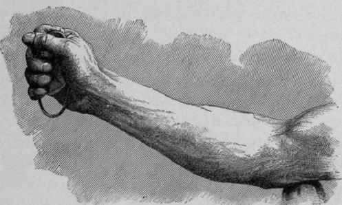 Fig. 3.   Method of Testing the Strength of the Forearms and Hands.