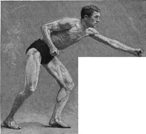 Physical Characteristics Of The Athlete 30