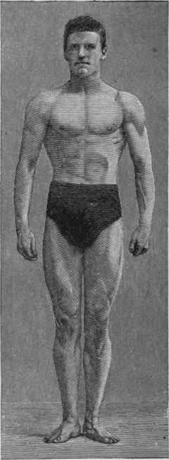 Physical Characteristics Of The Athlete 31
