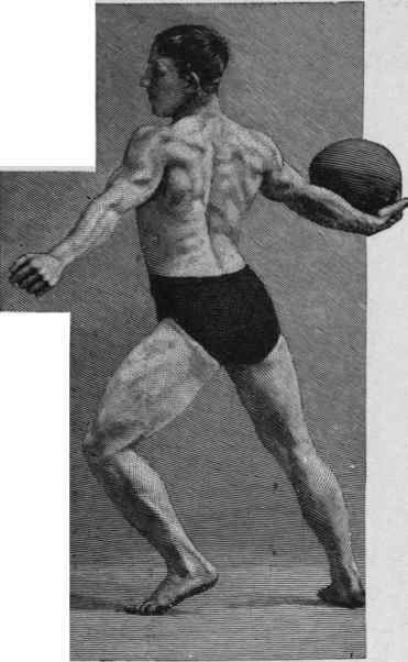 Physical Characteristics Of The Athlete 37