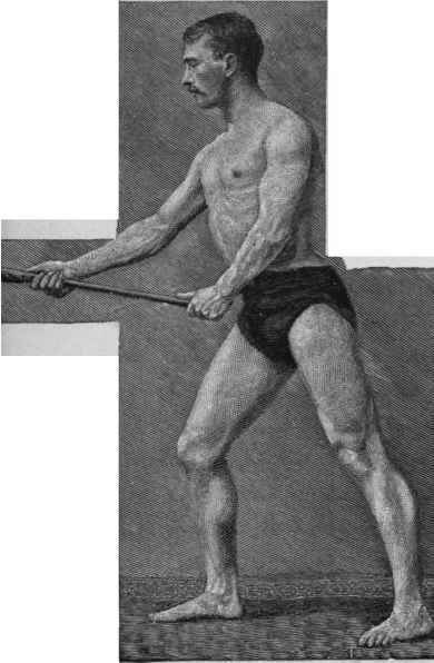 Physical Characteristics Of The Athlete 43