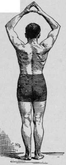 The Physical Proportions Of The Typical Man 15