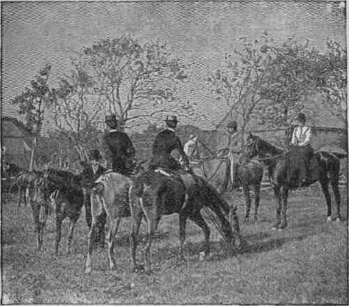 Waiting for the Word. {Meet of the Meadowbrook Hunt at Southampton, L.I., in the Fall of 1891.)
