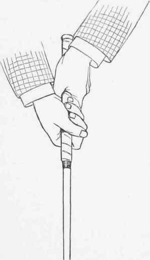 Advice To Beginners 20