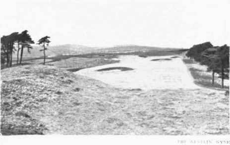 The Westlin Wyne 81