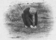 The Common Mistakes are 40