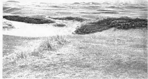 Championships I Have Played In 3