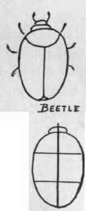 3 Figure Kites 26