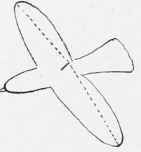 Aeroplane Models Are Small Sized Aeroplanes 215
