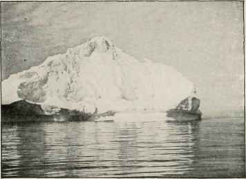 A Monster From The North.