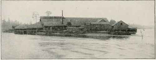 A Salmon Factory At New Westminster