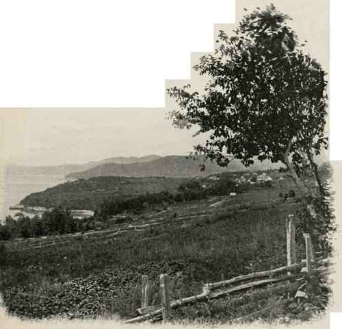 Cape A L'Aigle.