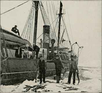 Caught In The Ice.