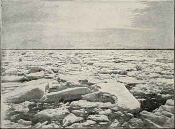 Ice Pack In Strait Of Belle Isle.