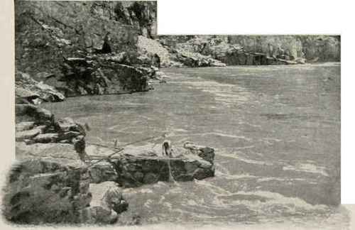 Indians Catching Salmon, Fraser River.