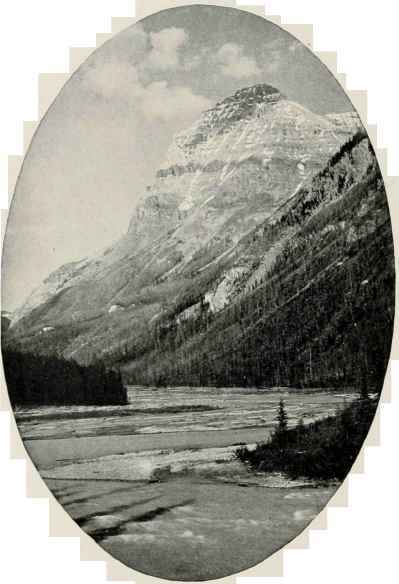 Mount Stephen, Field.