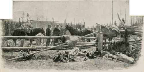 Preparing To Start From Corral At Laggan.