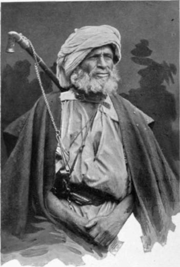 An Egyptian Sheik
