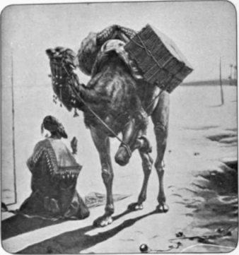 Arab At Prayer
