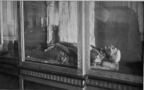 Mummy Of Rameses II