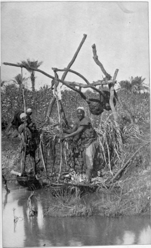 Raising Water From The Nile