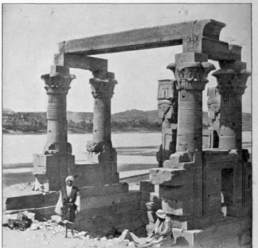 The Sculptured Lotus