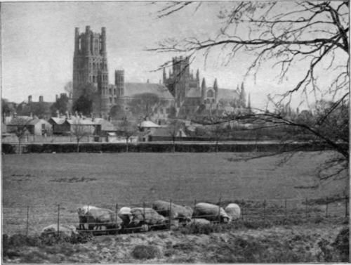 Ely Cathedral