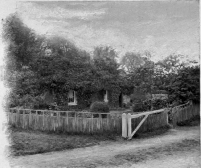 Gray's Garden And House