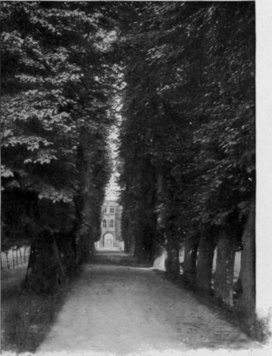 Trinity College Avenue, Cambridge