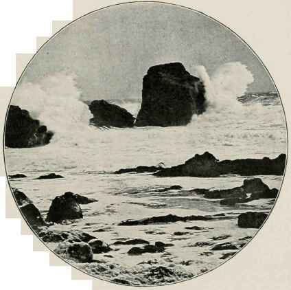 A Cruel Coast.