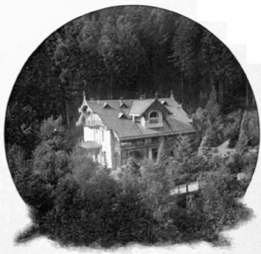 In The Black Forest